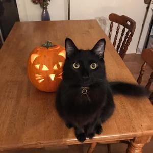 Meet your Posher, Dane